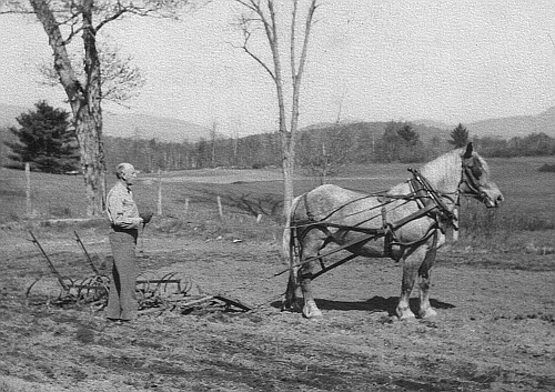 Harold W. Robinson back home on the farm in Vermont while on furlough